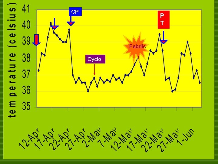 CP P T Febrile Cyclo 