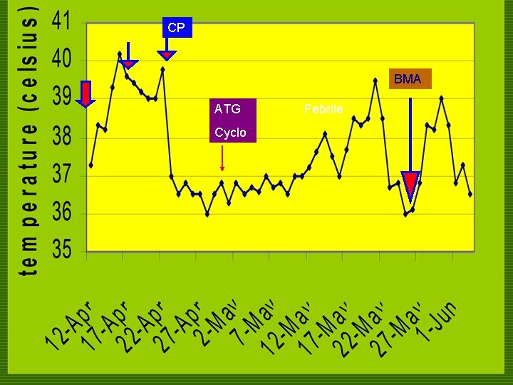 CP BMA ATG Cyclo Febrile 