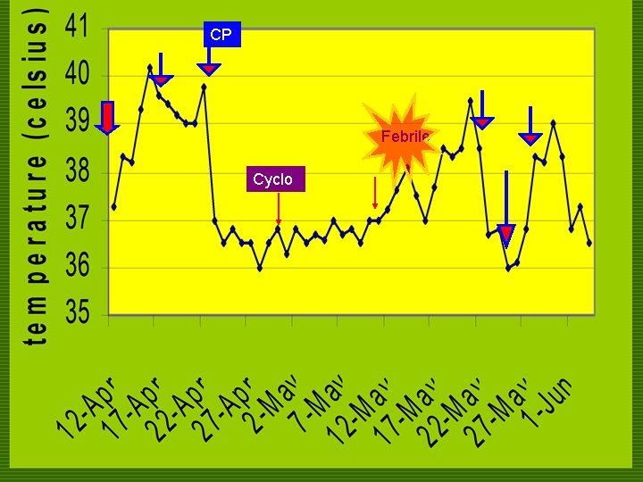 CP Febrile Cyclo 