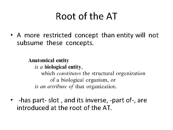 Root of the AT • A more restricted concept than entity will not subsume Root of the AT • A more restricted concept than entity will not subsume