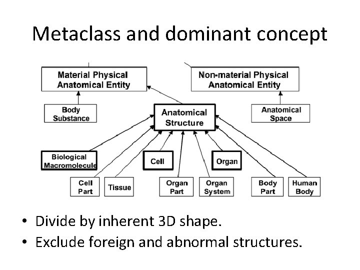 Metaclass and dominant concept • Divide by inherent 3 D shape. • Exclude foreign Metaclass and dominant concept • Divide by inherent 3 D shape. • Exclude foreign