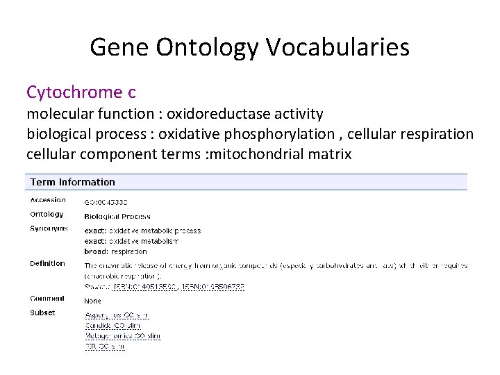 Gene Ontology Vocabularies Cytochrome c molecular function : oxidoreductase activity biological process : oxidative Gene Ontology Vocabularies Cytochrome c molecular function : oxidoreductase activity biological process : oxidative