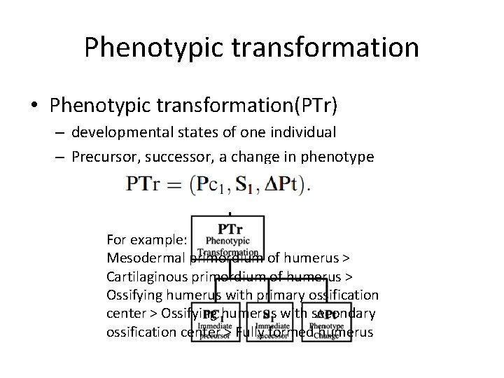 Phenotypic transformation • Phenotypic transformation(PTr) – developmental states of one individual – Precursor, successor, Phenotypic transformation • Phenotypic transformation(PTr) – developmental states of one individual – Precursor, successor,