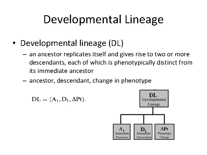 Developmental Lineage • Developmental lineage (DL) – an ancestor replicates itself and gives rise Developmental Lineage • Developmental lineage (DL) – an ancestor replicates itself and gives rise