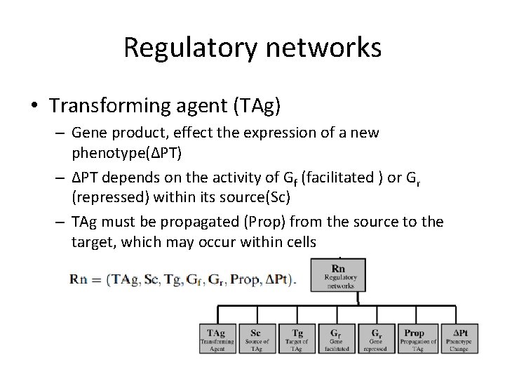 Regulatory networks • Transforming agent (TAg) – Gene product, effect the expression of a Regulatory networks • Transforming agent (TAg) – Gene product, effect the expression of a
