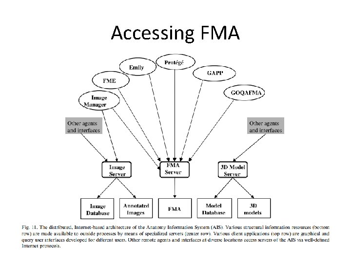 Accessing FMA Accessing FMA