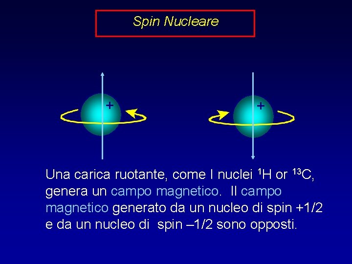 Spin Nucleare + + Una carica ruotante, come I nuclei 1 H or 13