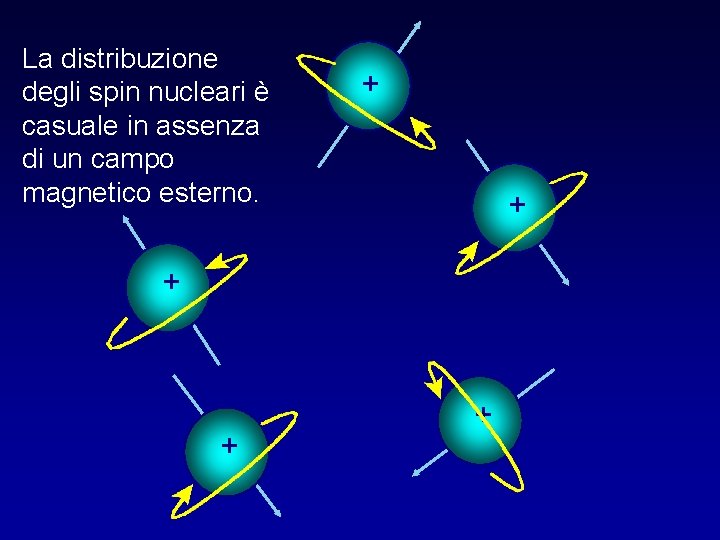 La distribuzione degli spin nucleari è casuale in assenza di un campo magnetico esterno.