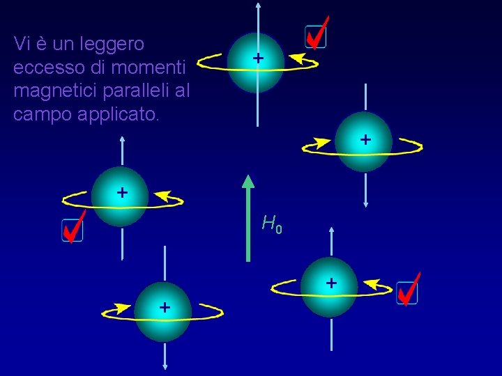 Vi è un leggero eccesso di momenti magnetici paralleli al campo applicato. + +