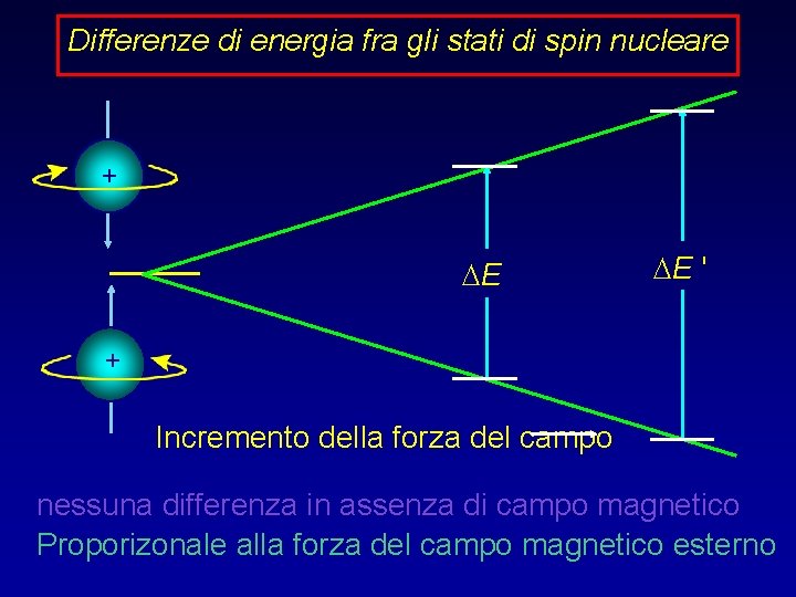 Differenze di energia fra gli stati di spin nucleare + DE DE ' +