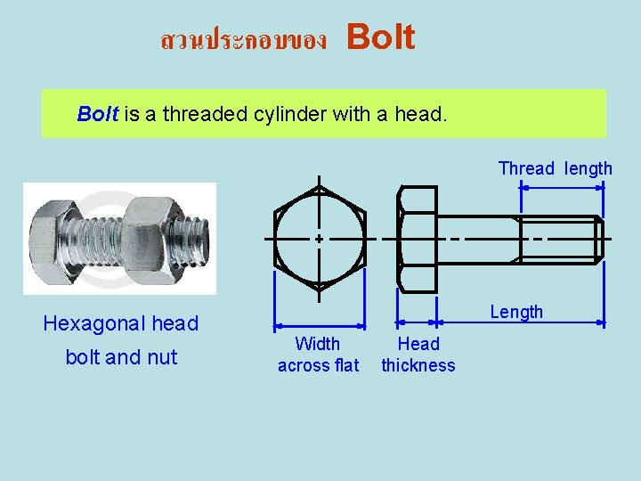 สวนประกอบของ Bolt is a threaded cylinder with a head. Thread length Hexagonal head bolt