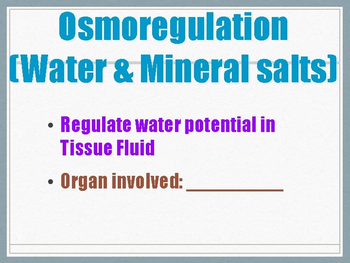 Osmoregulation (Water & Mineral salts) • Regulate water potential in Tissue Fluid • Organ
