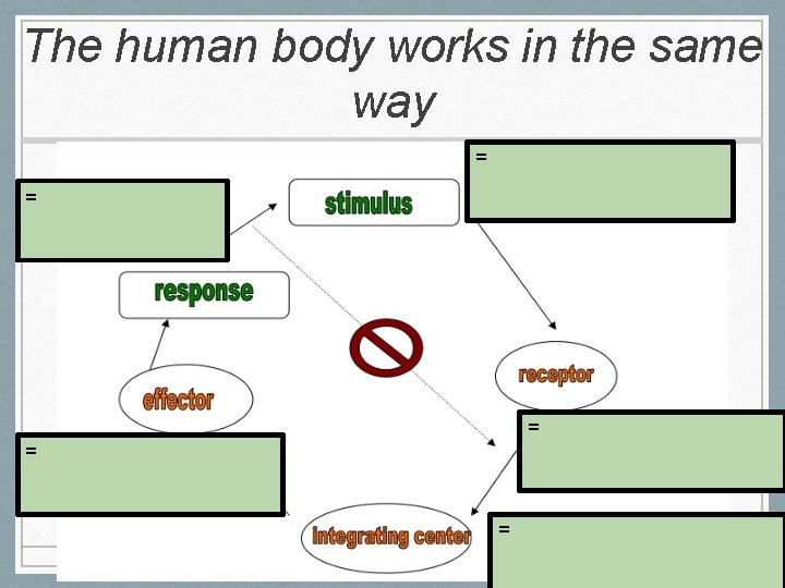 The human body works in the same way = = = 