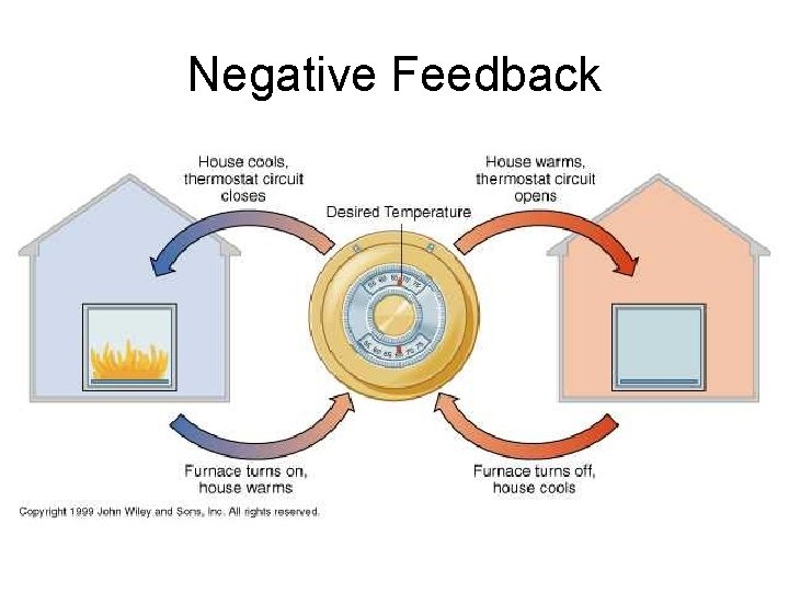 Negative Feedback Negative Feedback