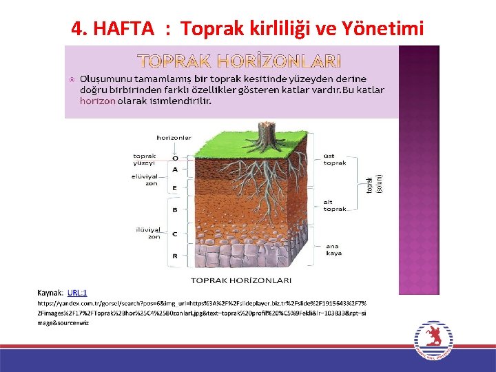 4. HAFTA : Toprak kirliliği ve Yönetimi 