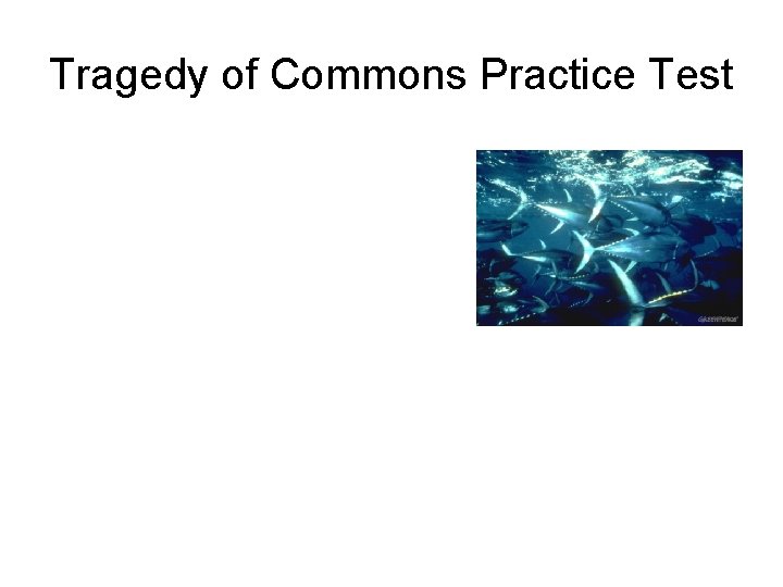 Tragedy of Commons Practice Test 