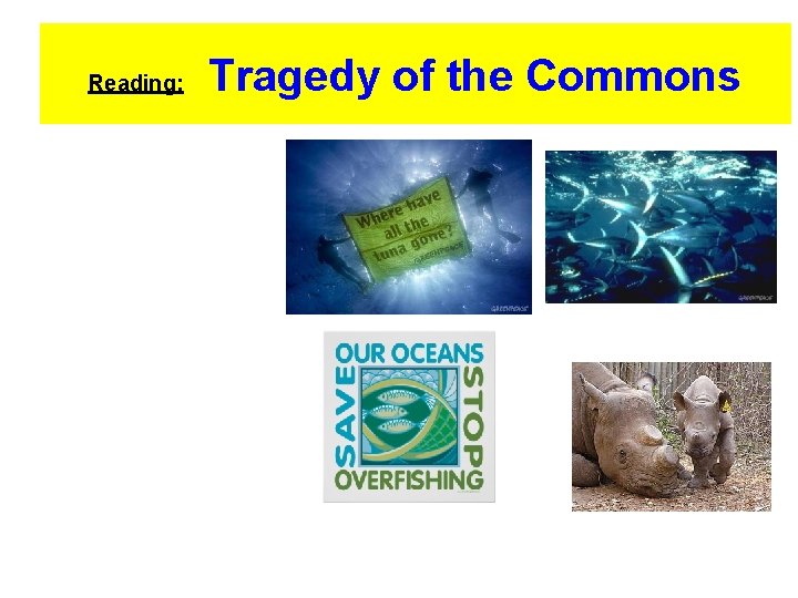 Reading: Tragedy of the Commons 