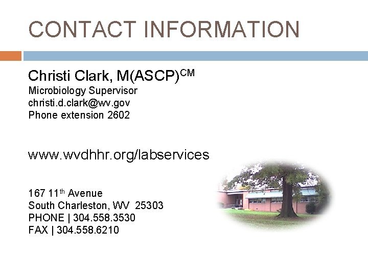 CONTACT INFORMATION Christi Clark, M(ASCP)CM Microbiology Supervisor christi. d. clark@wv. gov Phone extension 2602