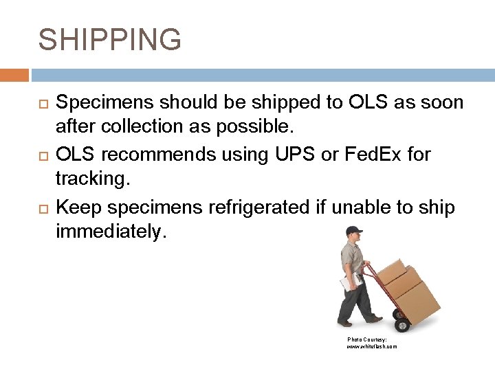SHIPPING Specimens should be shipped to OLS as soon after collection as possible. OLS