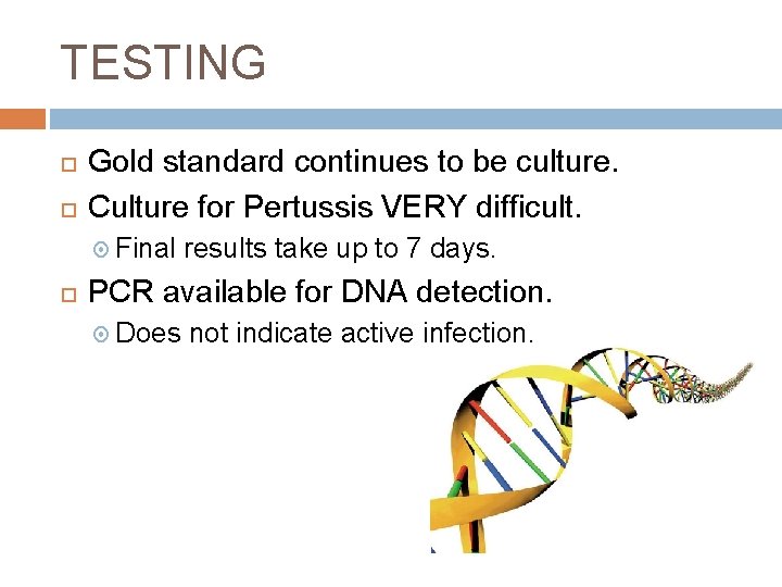 TESTING Gold standard continues to be culture. Culture for Pertussis VERY difficult. Final results