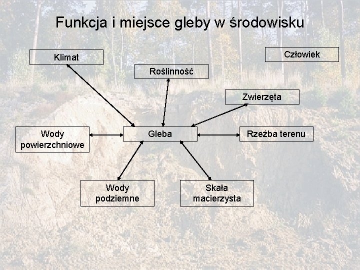 Funkcja i miejsce gleby w środowisku Człowiek Klimat Roślinność Zwierzęta Wody powierzchniowe Gleba Wody