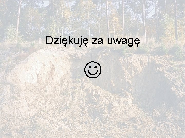 Dziękuję za uwagę 