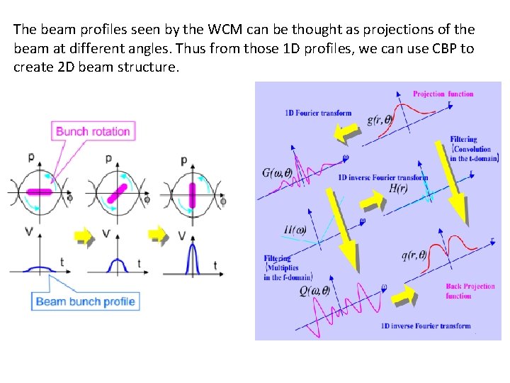 The beam profiles seen by the WCM can be thought as projections of the