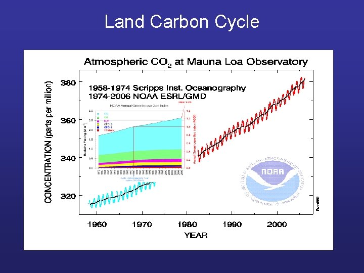 Land Carbon Cycle 