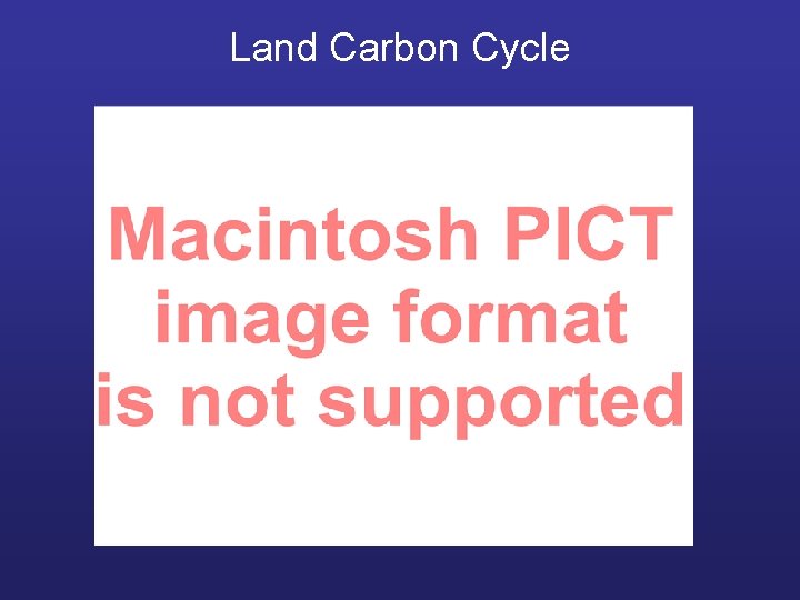 Land Carbon Cycle 