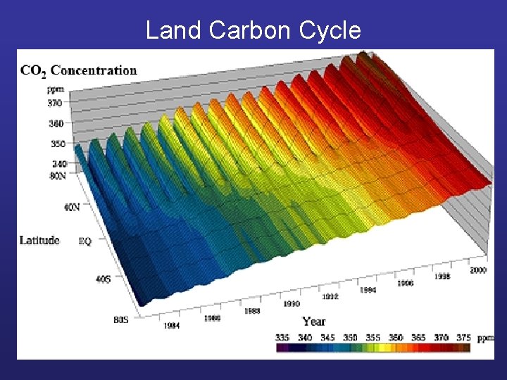 Land Carbon Cycle 