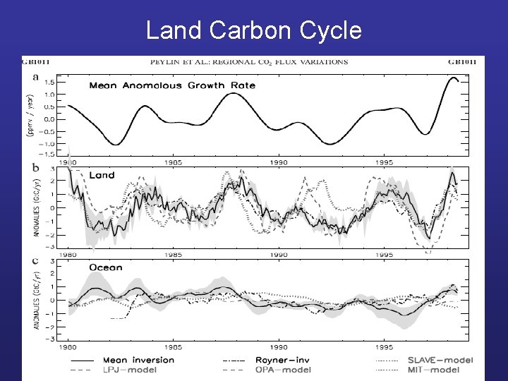 Land Carbon Cycle 