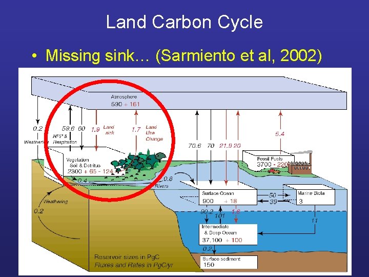 Land Carbon Cycle • Missing sink… (Sarmiento et al, 2002) 