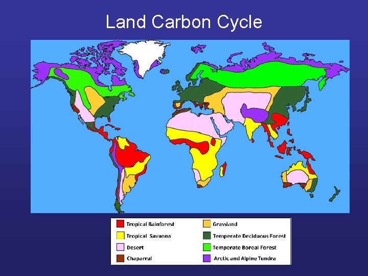 Land Carbon Cycle 