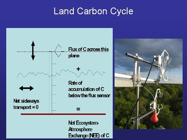 Land Carbon Cycle 