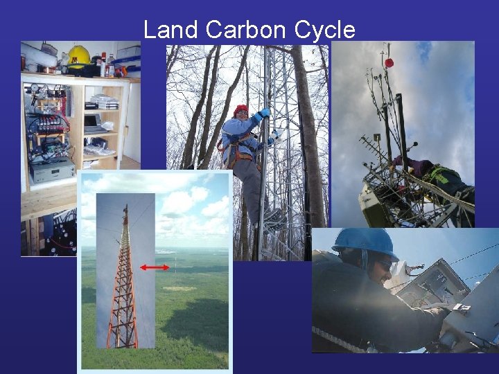 Land Carbon Cycle 
