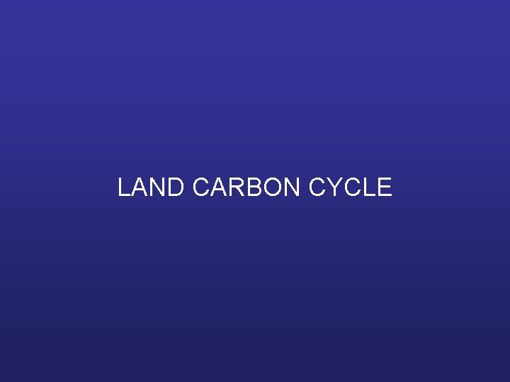LAND CARBON CYCLE 