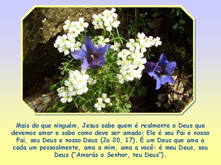 Mais do que ninguém, Jesus sabe quem é realmente o Deus que devemos amar