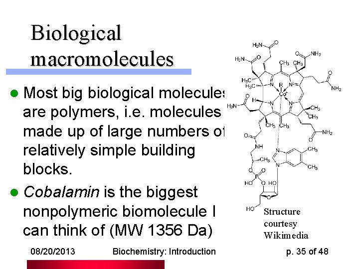 Biological macromolecules l Most big biological molecules are polymers, i. e. molecules made up