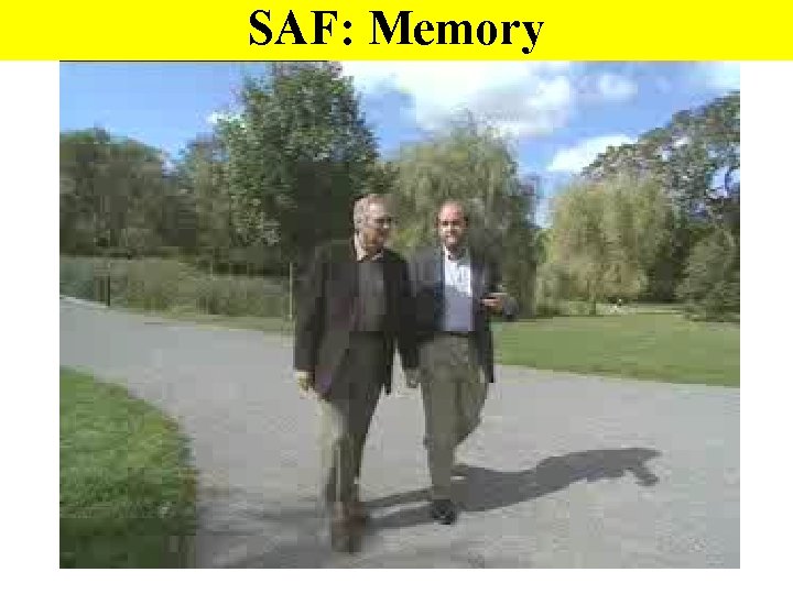 SAF: Memory 