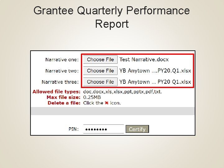 Grantee Quarterly Performance Report 