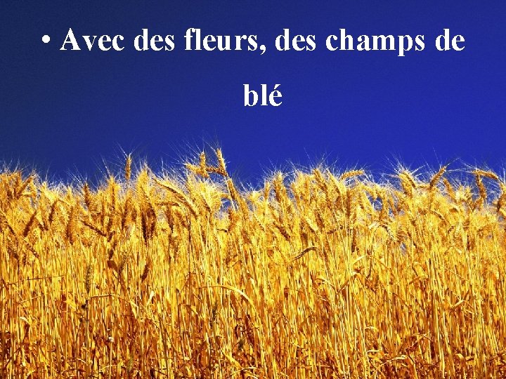  • Avec des fleurs, des champs de blé 