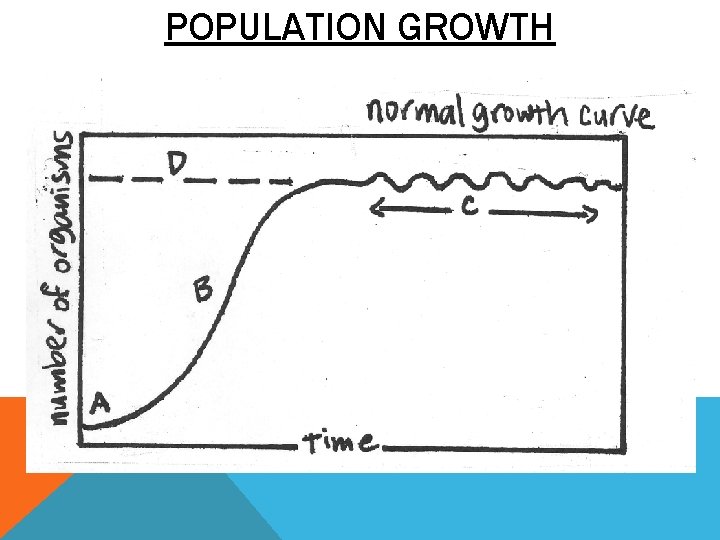 POPULATION GROWTH 