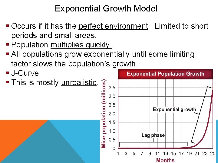 Population Ecology Exponential Growth Model § Occurs if it has the perfect environment. Limited