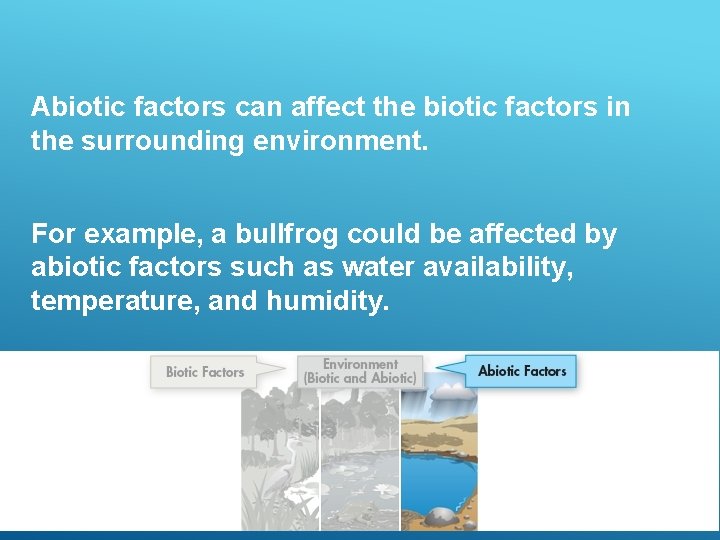 Abiotic factors can affect the biotic factors in the surrounding environment. For example, a