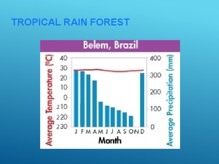 TROPICAL RAIN FOREST 