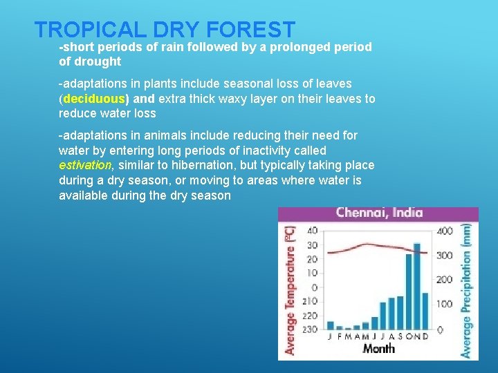 TROPICAL DRY FOREST -short periods of rain followed by a prolonged period of drought