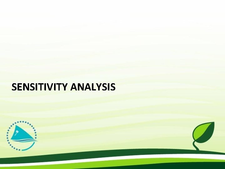 SENSITIVITY ANALYSIS 