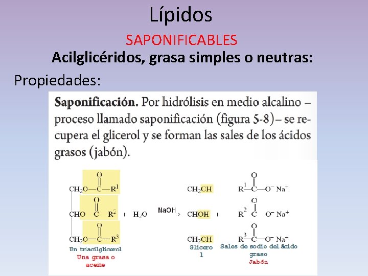 Lípidos SAPONIFICABLES Acilglicéridos, grasa simples o neutras: Propiedades: 