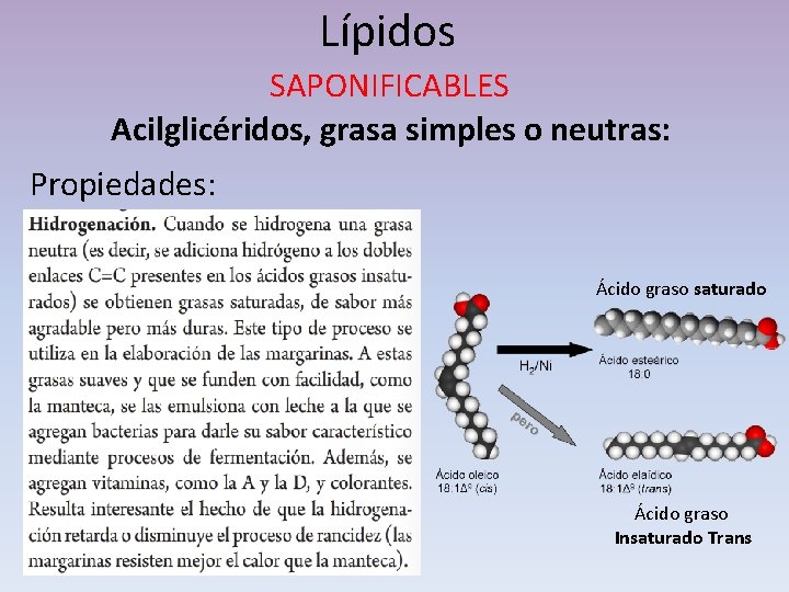 Lípidos SAPONIFICABLES Acilglicéridos, grasa simples o neutras: Propiedades: Ácido graso saturado Ácido graso Insaturado