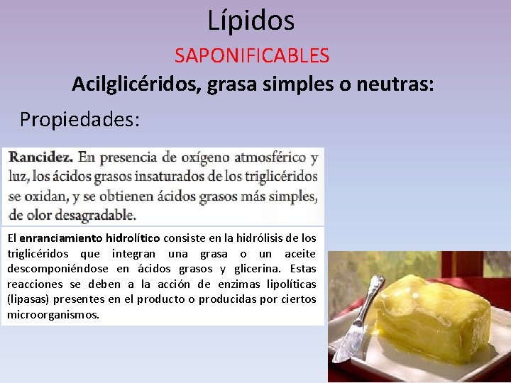 Lípidos SAPONIFICABLES Acilglicéridos, grasa simples o neutras: Propiedades: El enranciamiento hidrolítico consiste en la